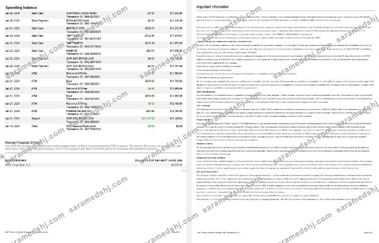 USA Sofi bank statement, 4 pages 2